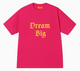 AFGK Big Dreamer Lettering Embroidered T-shirt